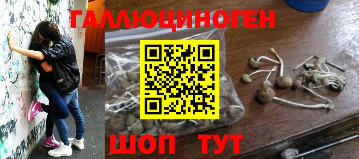 Сорочинск  Галлюциногенные грибы мухоморы  Псилоцибиновые грибы Magic Shrooms  Вход с VPN 